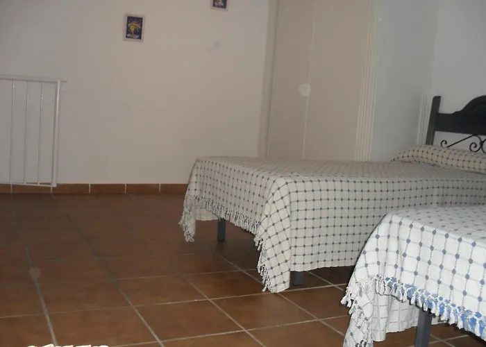 Alcaraván 32